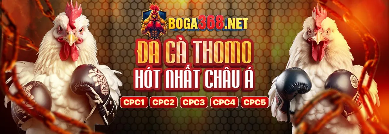 Các loại kèo cá cược thể thao phổ biến tại EE88